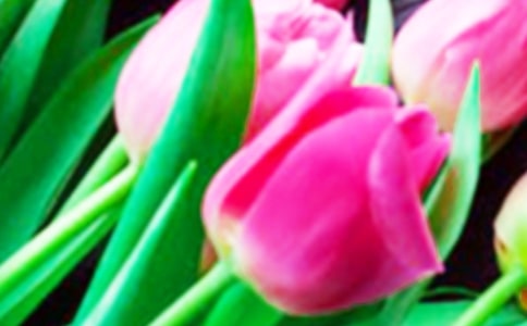 ����ɫ�����㡷�x���_1000��