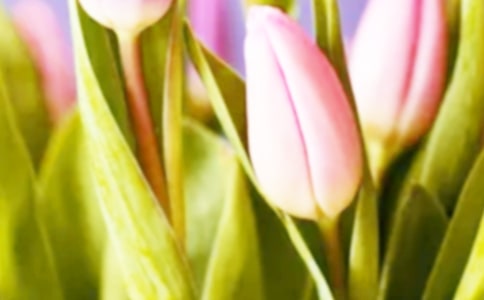 �������㡷�x��з���