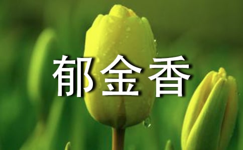 郁金香花開的句子