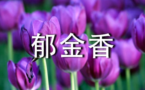 《郁金香》大班美術(shù)教案