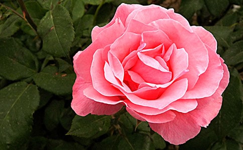 ���¼���������300��