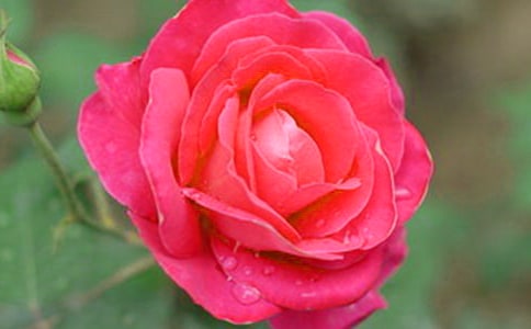 �i�����¼������i�Z���\