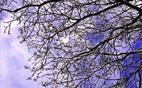 2021�꾫�x�簲��������Z�26��