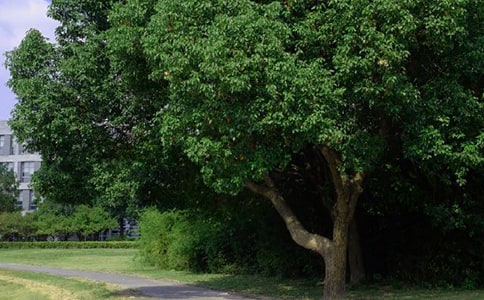 ����(sh��)�á��簲������Ӷ��ŅR��60�l