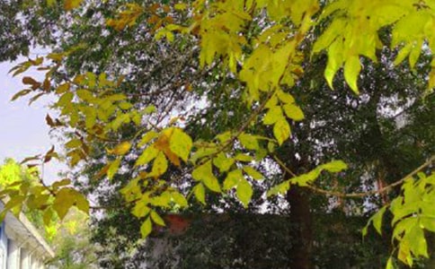 2020�꺆(ji��n)�ε��簲�������31�l