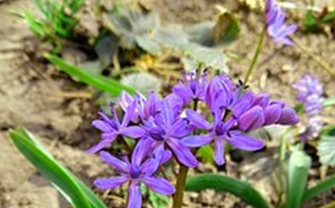 2020�곣���簲������ӅR��25��