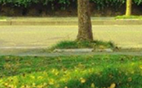 �����A��2020���簲��������Z䛴�ϼ�67�l