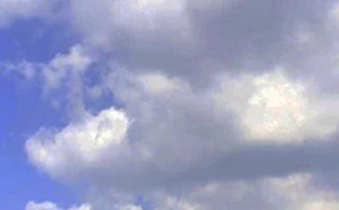 2021���簲�����������Ȧ�ϼ�63�l