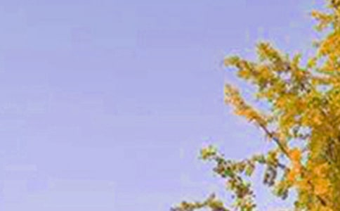 2020��ͨ���簲�����������Ȧ�ϼ�51�l