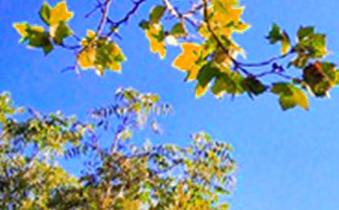 ������õ��簲���Ӽ��\