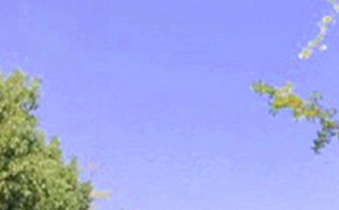 �����á�2020���簲������Ӷ��źϼ�62�l