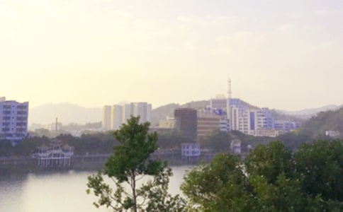 2020�꾫�x�簲�����������Ȧ�ϼ�48��