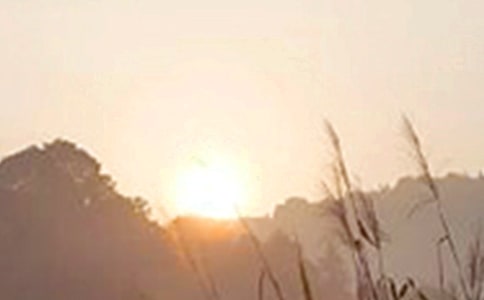 ���؂䡿�簲�������΢�źϼ�56�l