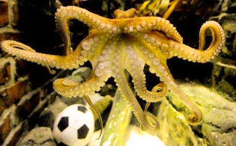 ����Ԛ��С���~(y��)�๤�̰�