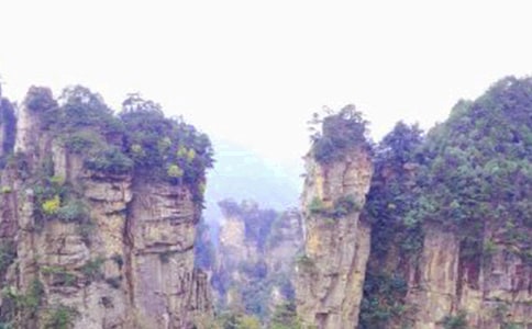 �����ҽ����εĸ���