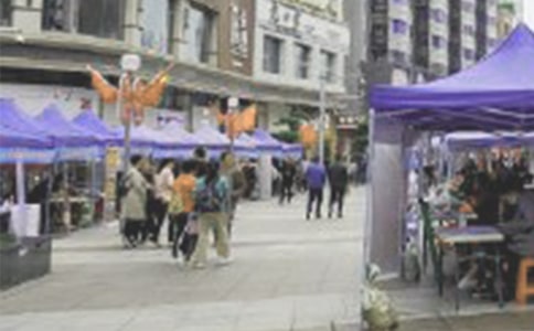 大學(xué)模擬招聘會(huì)策劃書范文