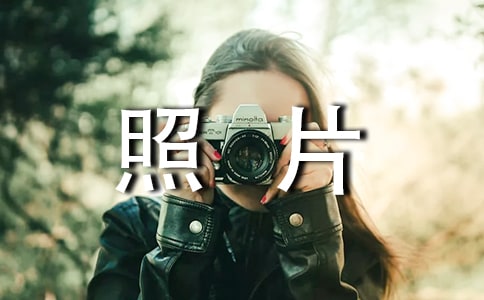 ����Ȧ��Ƭ�İ�