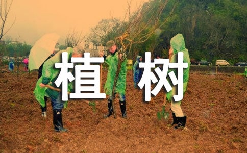 植樹活動的感受與感悟摘錄