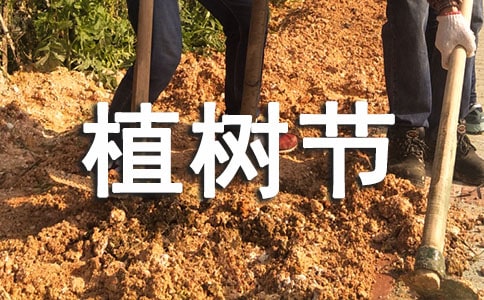 �׃��@ֲ��(sh��)��(ji��)���(d��ng)����15ƪ