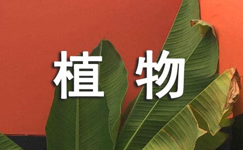 植物花卉學(xué)實習(xí)心得體會范文