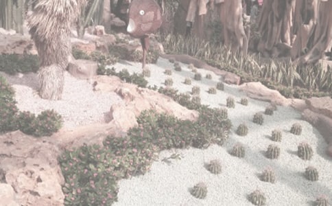 �������ֲ��@���x���