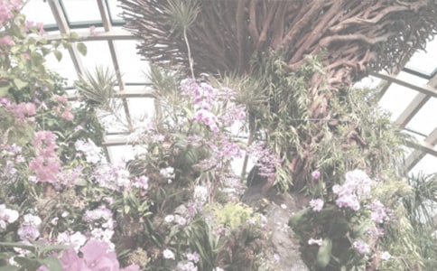 �����B�T�@��ֲ��@��(d��o)���~����