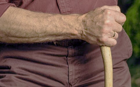 (�ϼ�)�˵�����ĸ���15ƪ