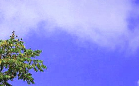 �m������l(f��)�ĺ�ů�ĵľ���150��