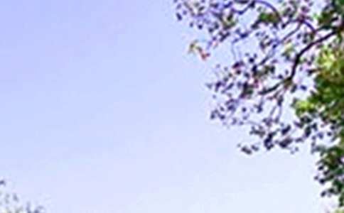 �����t���zӑ����ͨ��16ƪ��