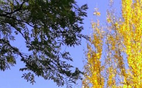 ���糿�������_ʼ���x��У����x12ƪ��