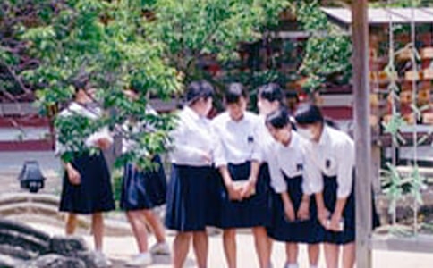 �ЌW�����I(y��)��ӛ�������b��