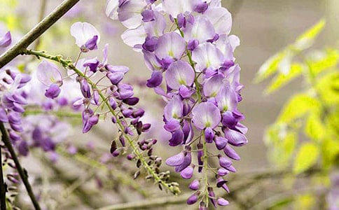 С�����g(sh��)��ָ���̰������ٻ�