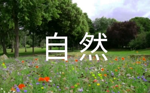 �������Ȼ��һ��ӛ