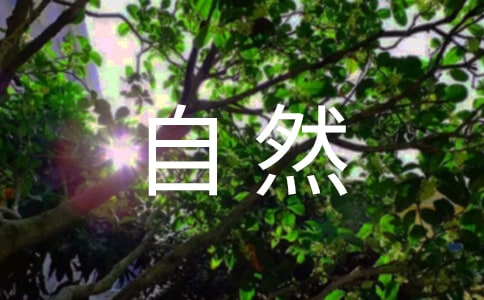 ������Ȼ��̖�L�Q���x���