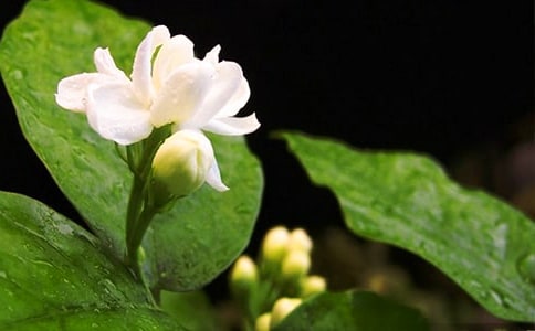 �茑(xi��)��ٝ�����򻨵ľ���