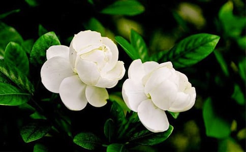 �а�ˇ�g(sh��)���򻨽̰���ͨ��12ƪ��