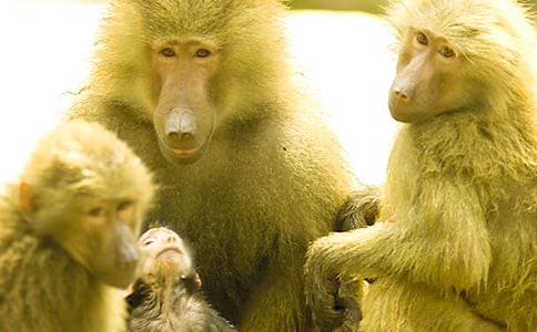 �����ͺ��ӵą^(q��)�e