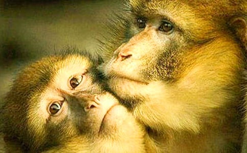 �{�~������Ԣ�Թ���