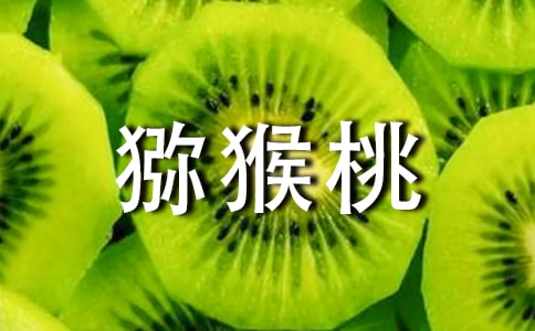 【薦】獼猴桃的創(chuàng)新作文