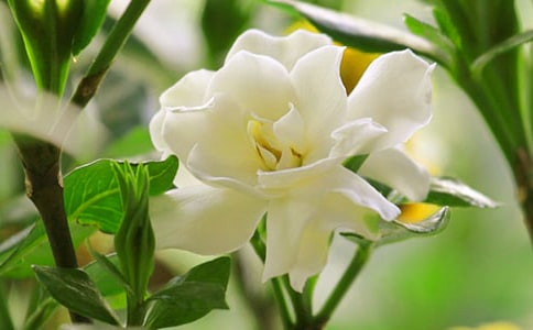 �d�ӻ�������,͸���M�Ă�����ɢ��1200��