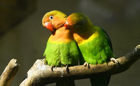 ���W�^�����r����꡷Ԫ���g�ļ��b�p