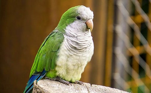 �W�^���ԭ�ļ����g