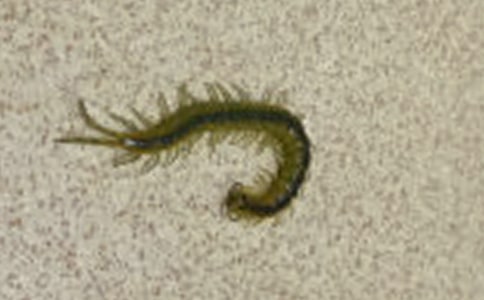 ��ཡ����(y��u)�|(zh��)�n�̰�����ཡ����ӣ���򼸂�ߡ�