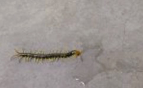 �����·�̌W(xu��)��˼