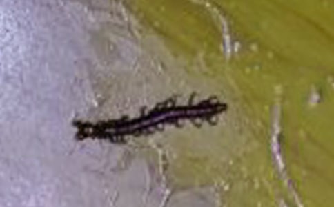 ���ܵ�����x���