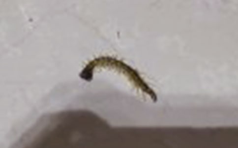 ���������������