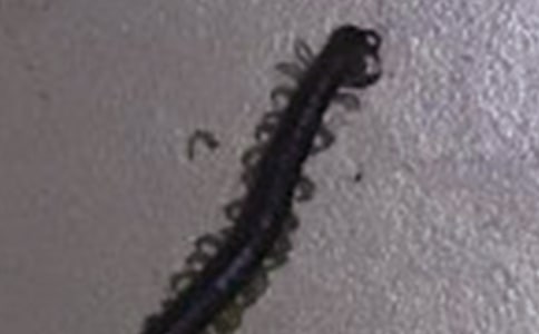 �������i�Z