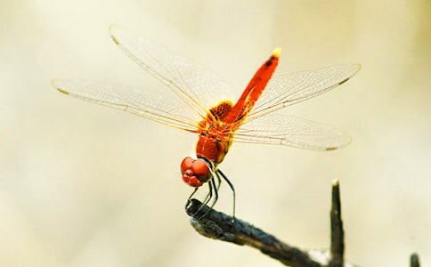 �����ѳ������x���300��