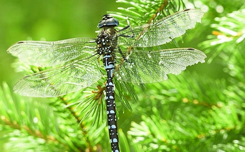 С���Z�Խ̰�׽����