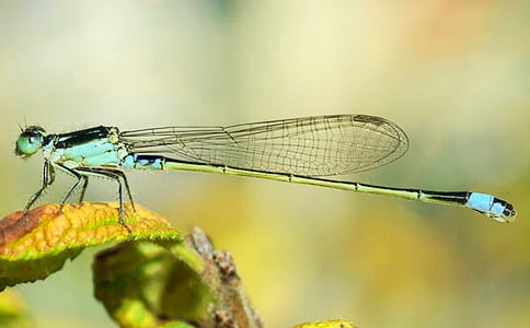 �������x���300�֣�ͨ��7ƪ��